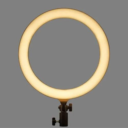 Godox LR120 Bi-Color 12-Inch LED Ring Light, Adjustable Warm & Cool Lighting, Dimmable Brightness, Phone Holder, Black – Ideal for YouTube, Reels & Makeup--Crezio.in-Godox